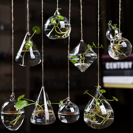 Hanging Glass Vase